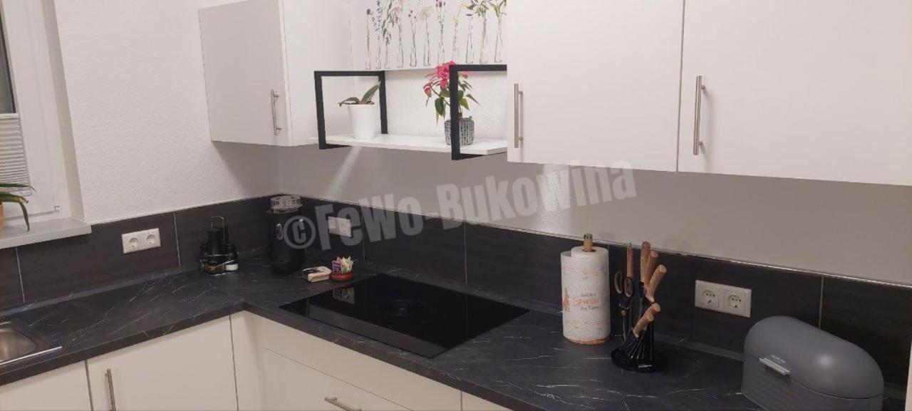 Fewo Bukowina Waldshut-Tiengen Exterior foto